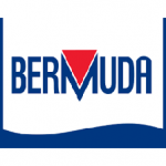 Bermuda – Pond pumps, filters, and lighting systems.